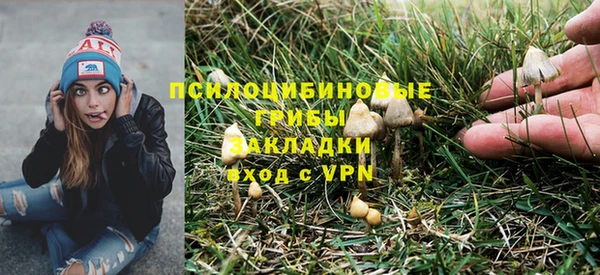 прущий лед Надым