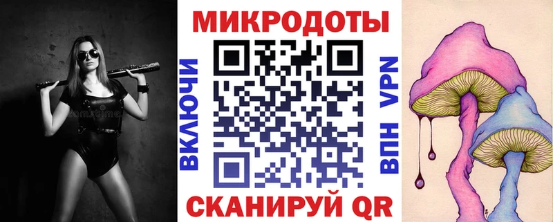 Псилоцибиновые грибы Psilocybine cubensis  площадка наркотические препараты  Нестеровская 